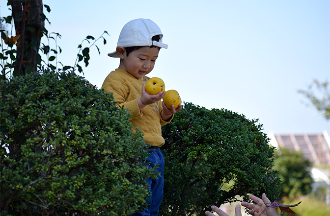 ぽっぽちゃんひろば1